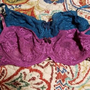 Gilligan and Omalley Bras